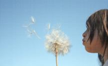 Software kinderleicht zu bedienen